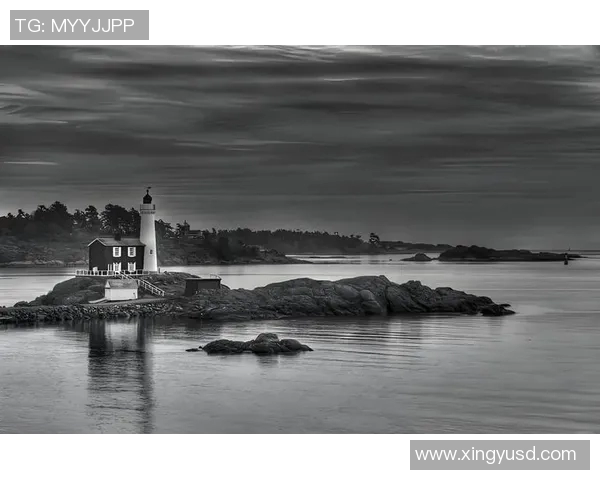 亚当斯的传奇人生与影响力探讨：从个人成就到社会变革的深远意义